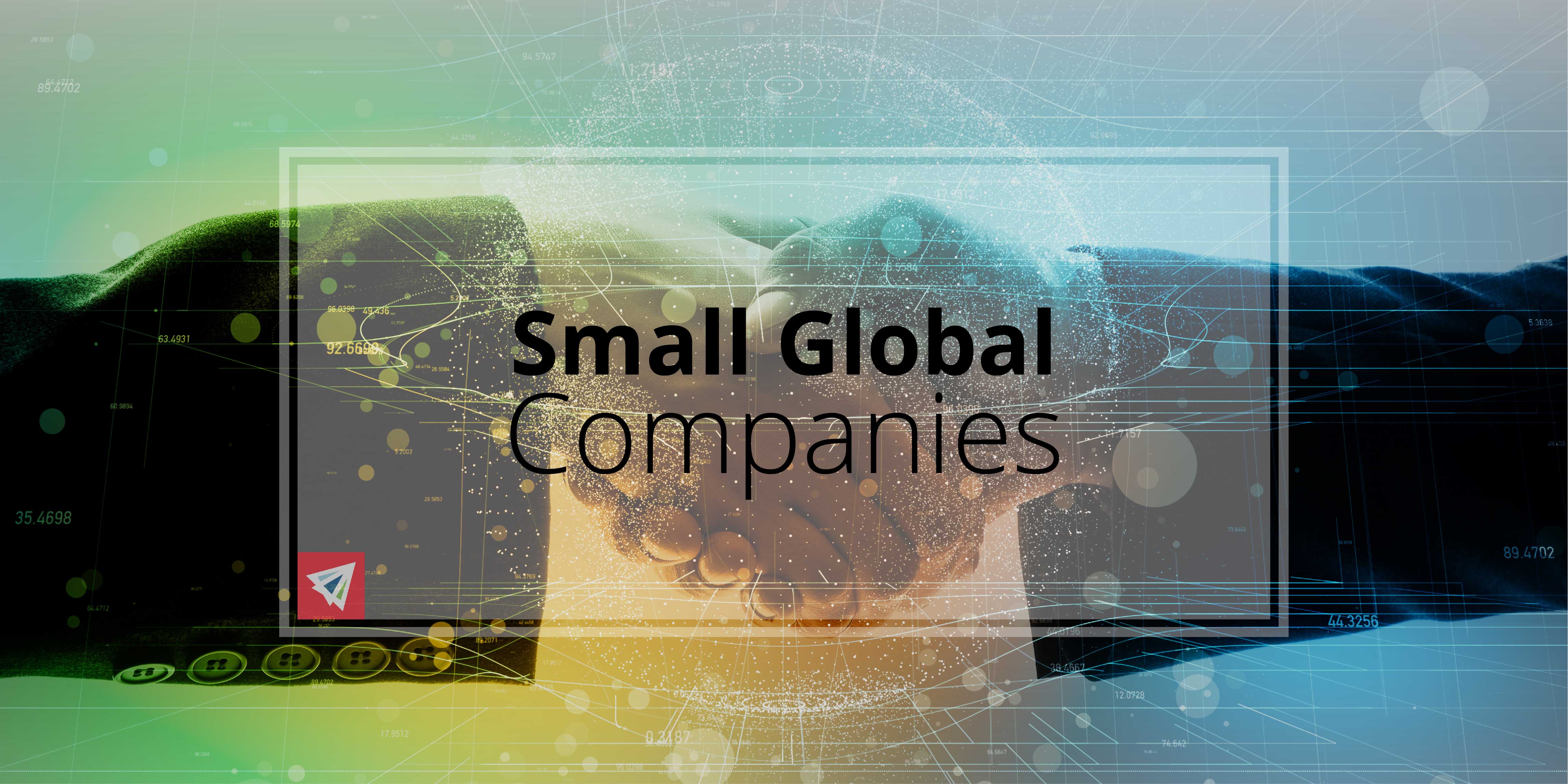 Small Global Companies