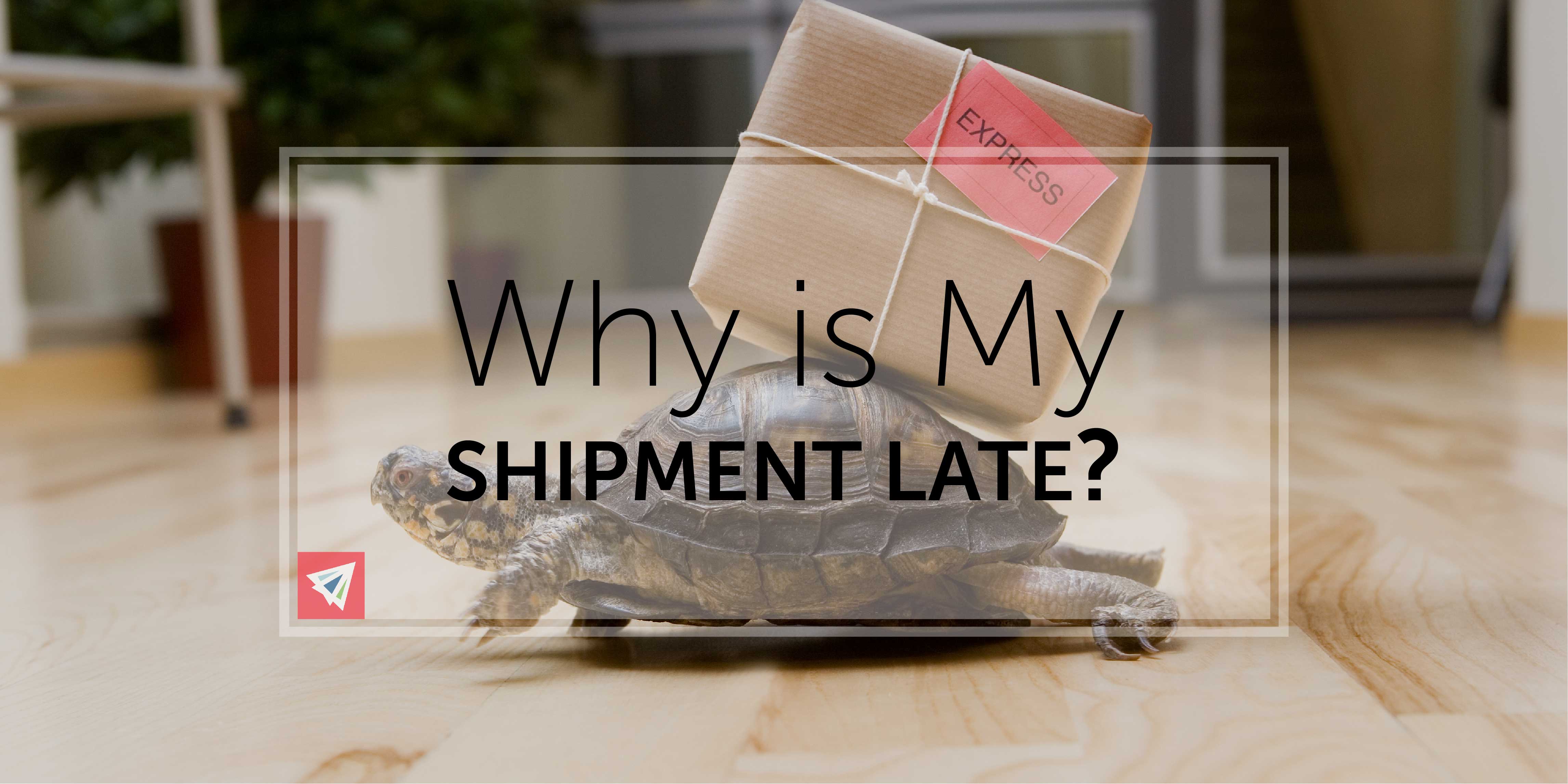 Why is My Shipment Late?