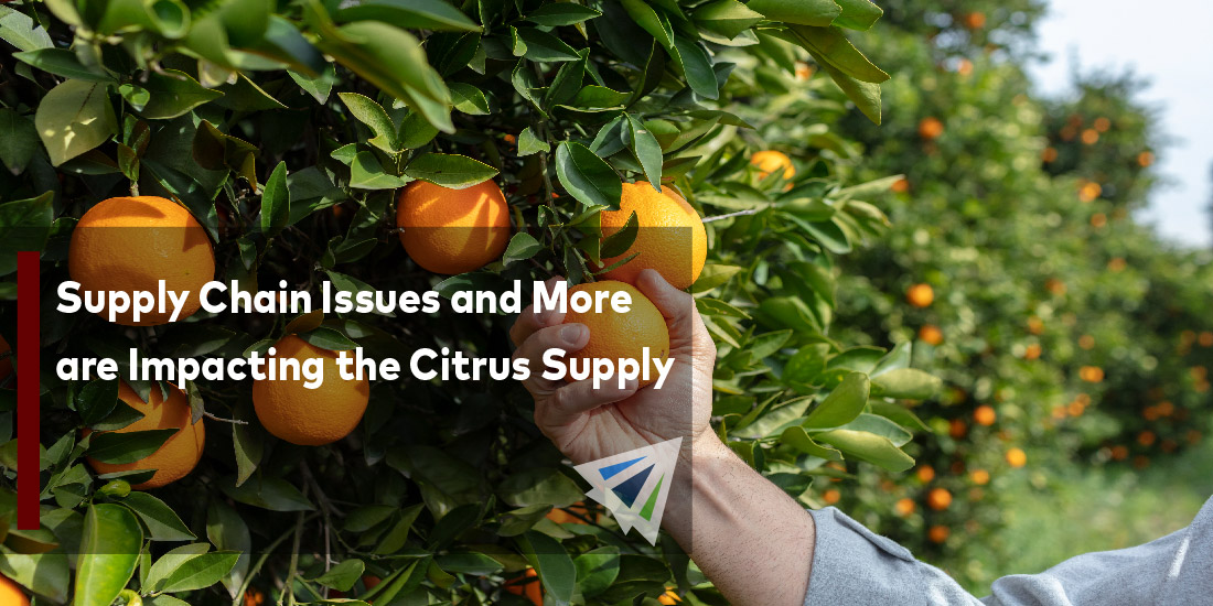Supply Chain Issues and More are Impacting the Citrus Supply