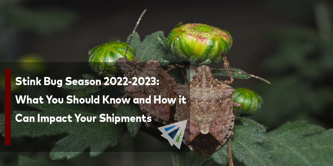 Stink Bug Season 2022-2023: What You Should Know and How it Can Impact Your Shipments