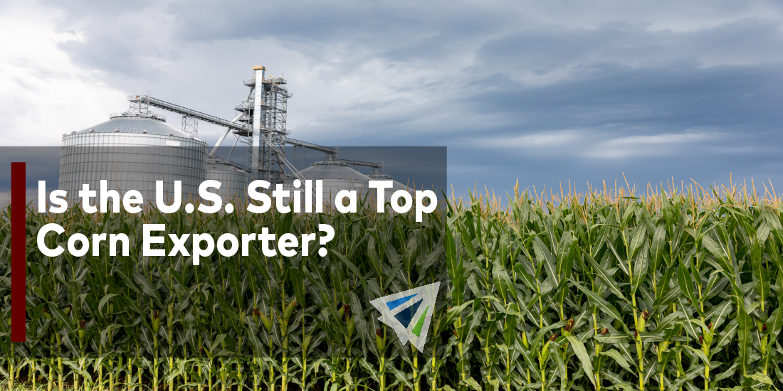 Is the U.S. Still a Top Corn Exporter?