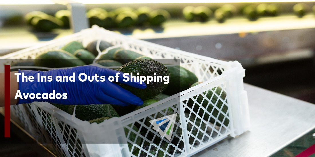 The Ins and Outs of Shipping Avocados