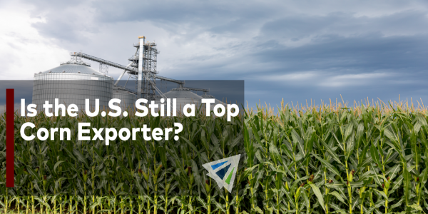 Is the U.S. Still a Top Corn Exporter