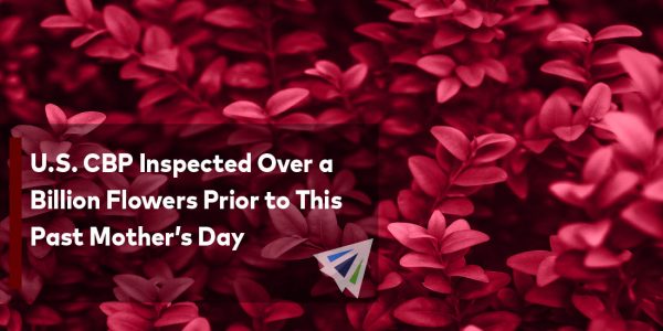U.S. CBP Inspected Over a Billion Flowers Prior to This Past Mother’s Day-01